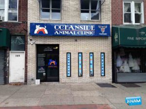 Door Decals print & install in Brooklyn, NY by KNAM