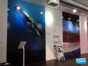 Wall Decals Event Marketing NYC, print, install by KNAM Media